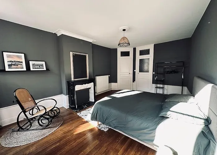 Le Jardin De Leopold 公寓 吕内维尔